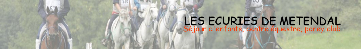 LES ECURIES DE METENDAL